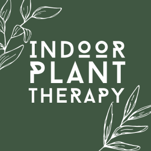 Find your plant shop here