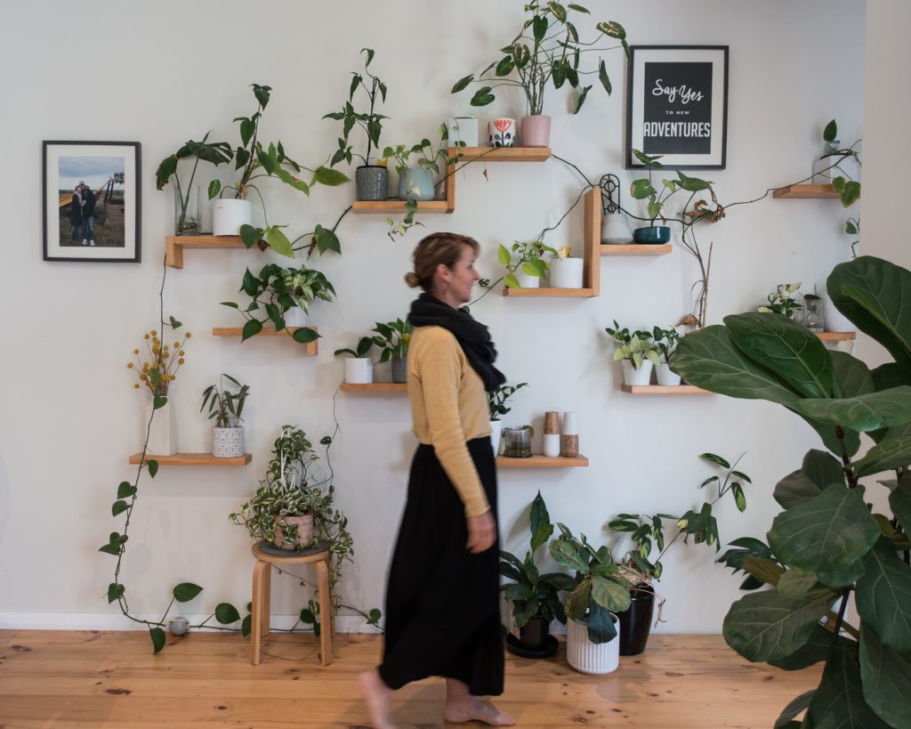 Indoor Plant vertical wall inspiration