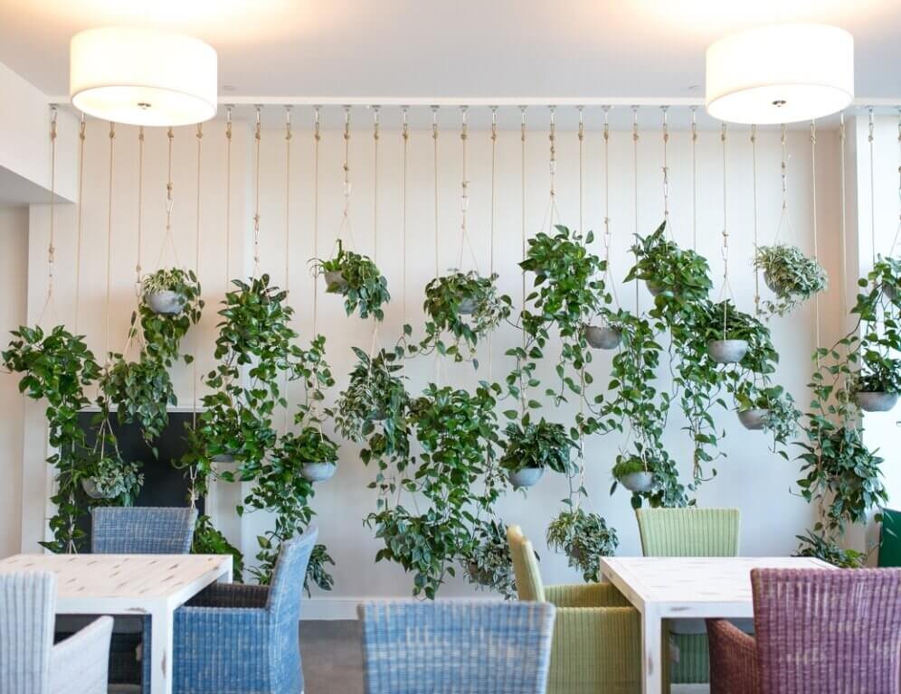 Hanging planters perfect for office plant display