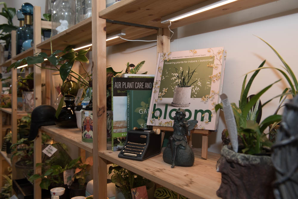 Indoor plant inspiration