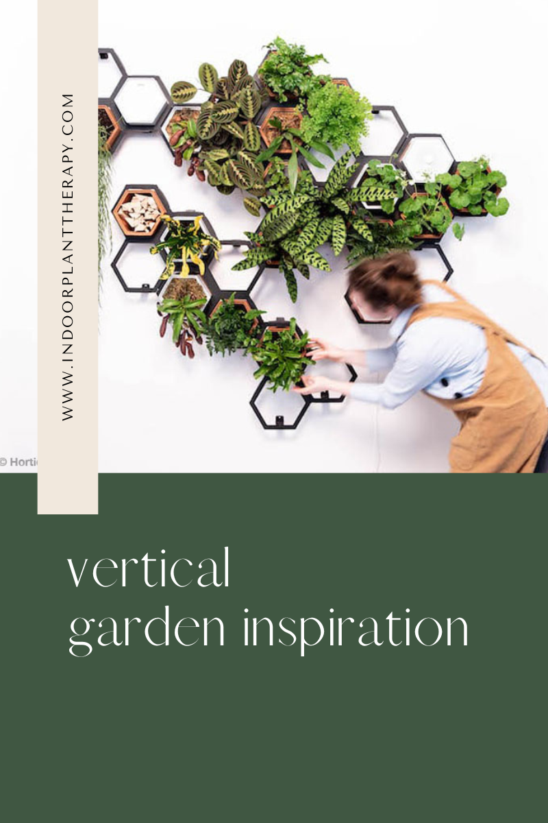 vertical garden inspiration