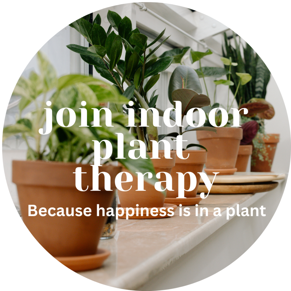 Plant experts and know how