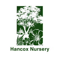 Hancox Nursery