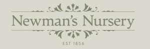 Newmans Nursery