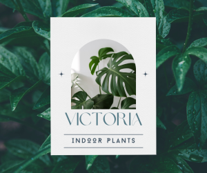 Victoria Indoor Plants near me