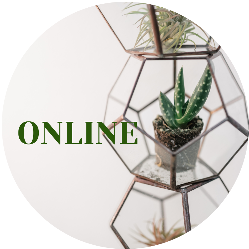 online plant stores directory